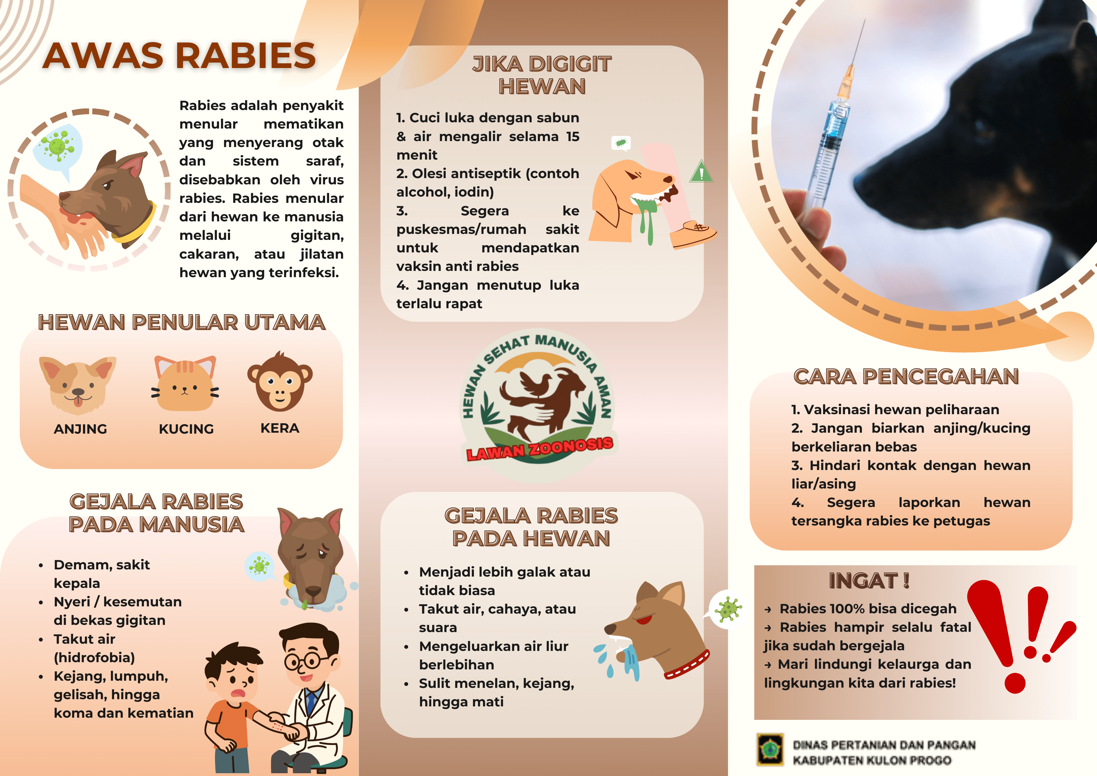 Rabies Penyakit Zoonosis Yang Ditularkan Lewat Gigitan Anjing, Kucing atau Kera