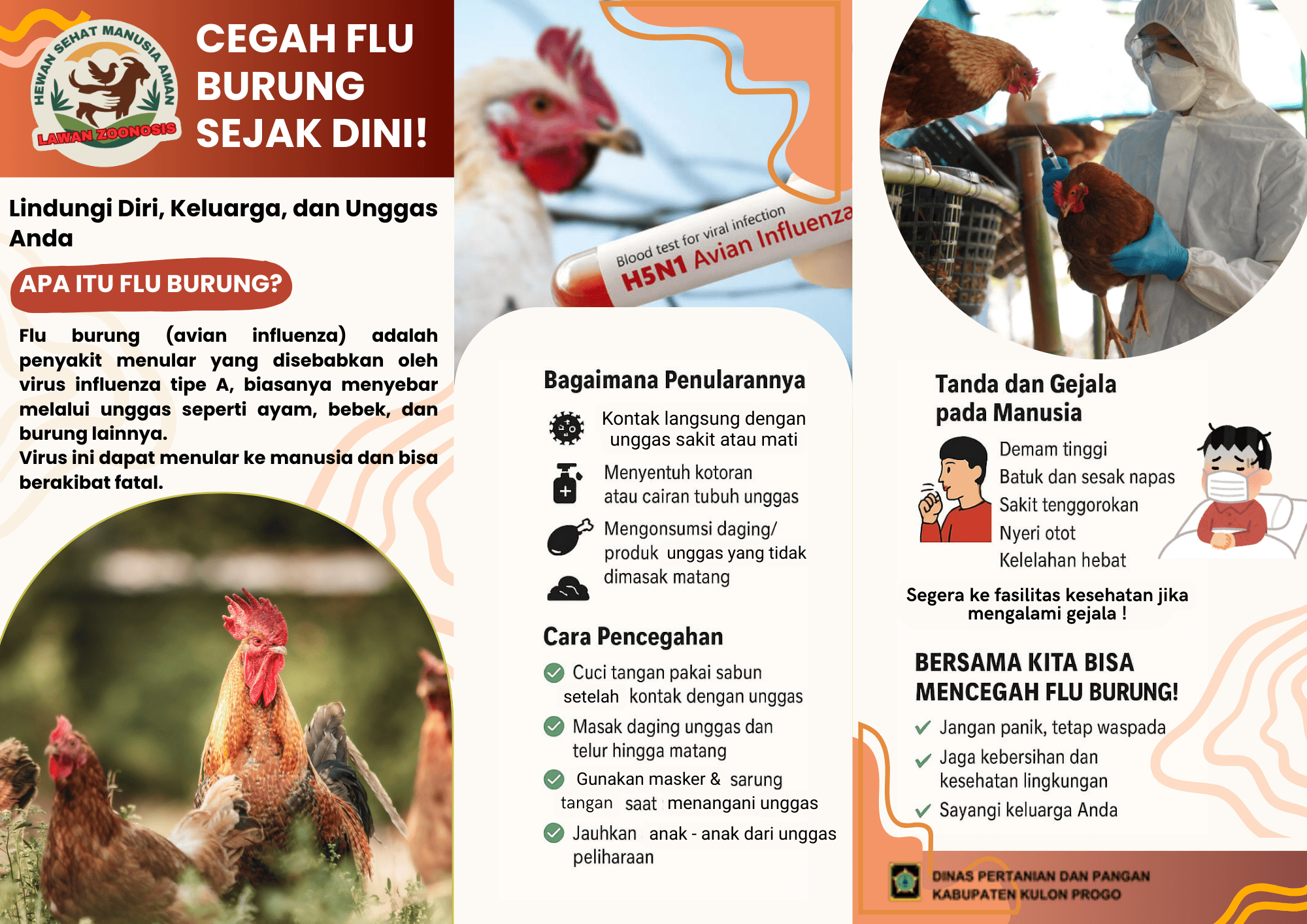 Flu Burung/Avian Influenza Penyakit Zoonosis Yang Ditularkan Oleh Unggas